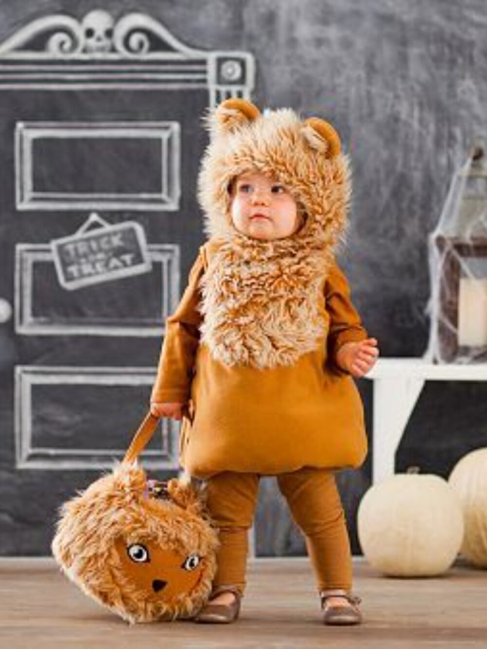 Pottery Barn Kids Toddler Lion Costume - 2T